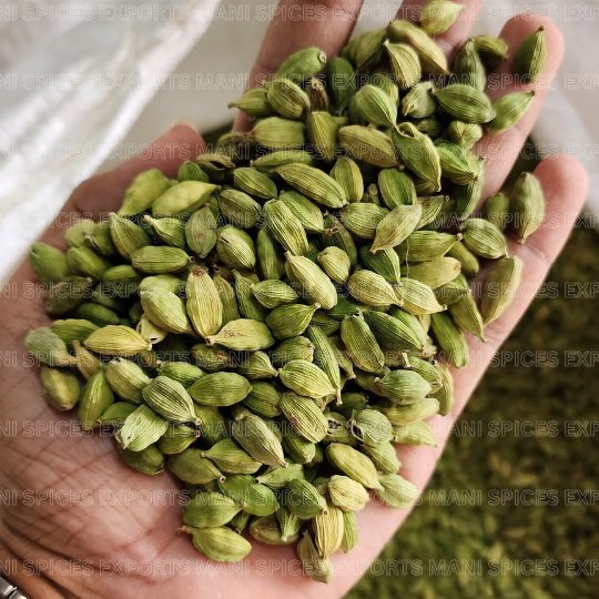 Green Cardamom 8++ MM